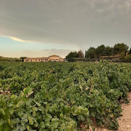 Hotel Enoturismo Mainetes Fuente-Álamo Dış mekan fotoğraf