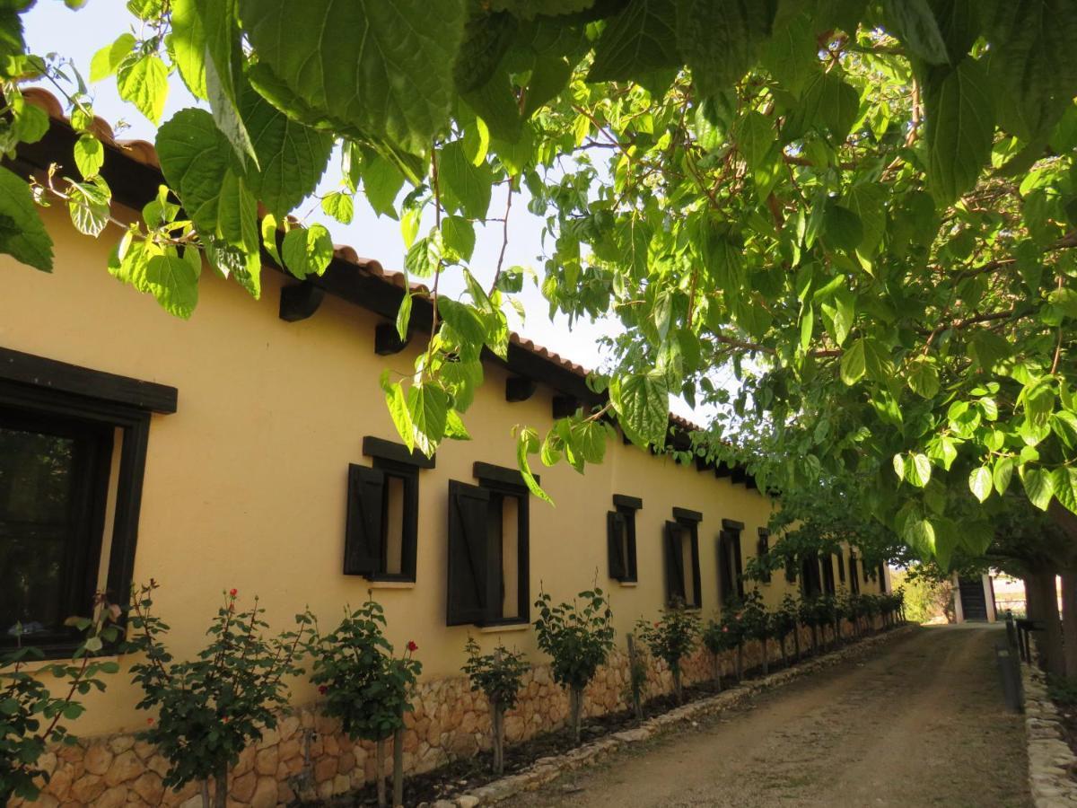 Hotel Enoturismo Mainetes Fuente-Álamo Dış mekan fotoğraf