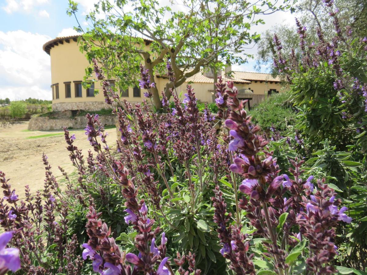 Hotel Enoturismo Mainetes Fuente-Álamo Dış mekan fotoğraf