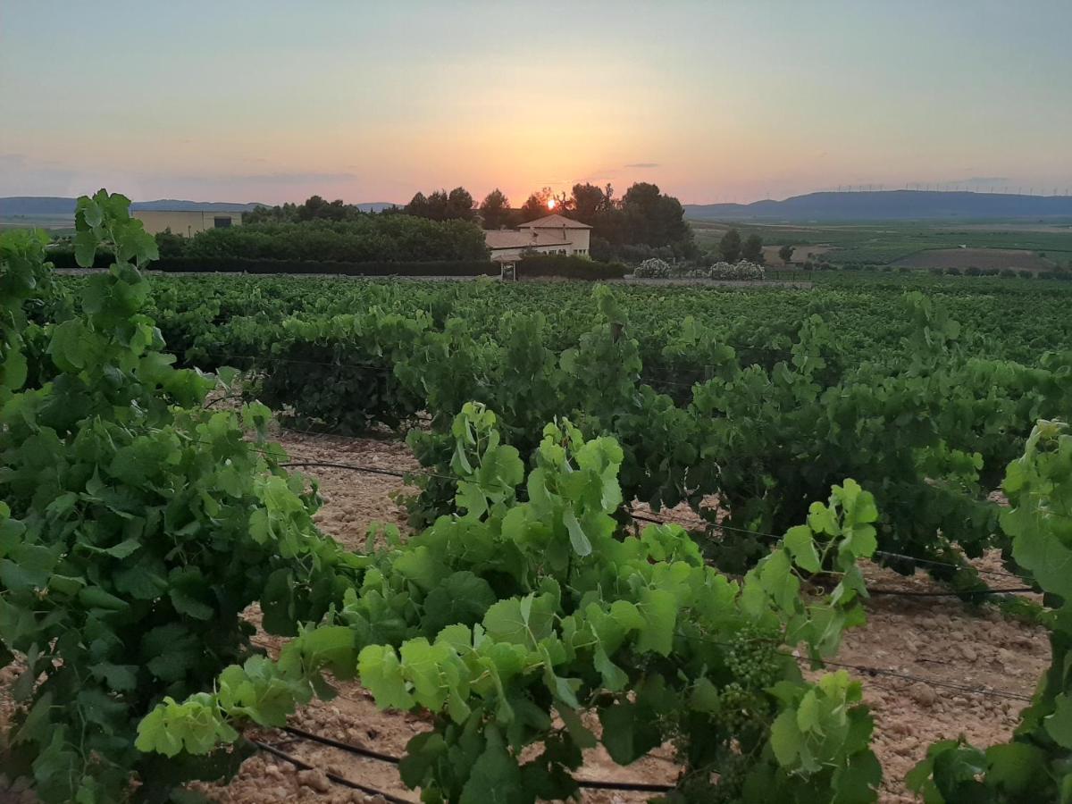 Hotel Enoturismo Mainetes Fuente-Álamo Dış mekan fotoğraf